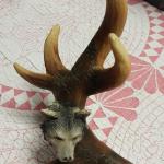 Resin Antler with Wolf Head.  Measures 6"w x 9"h.  Pre-owned & in excellent condition.  $23.00 obo
